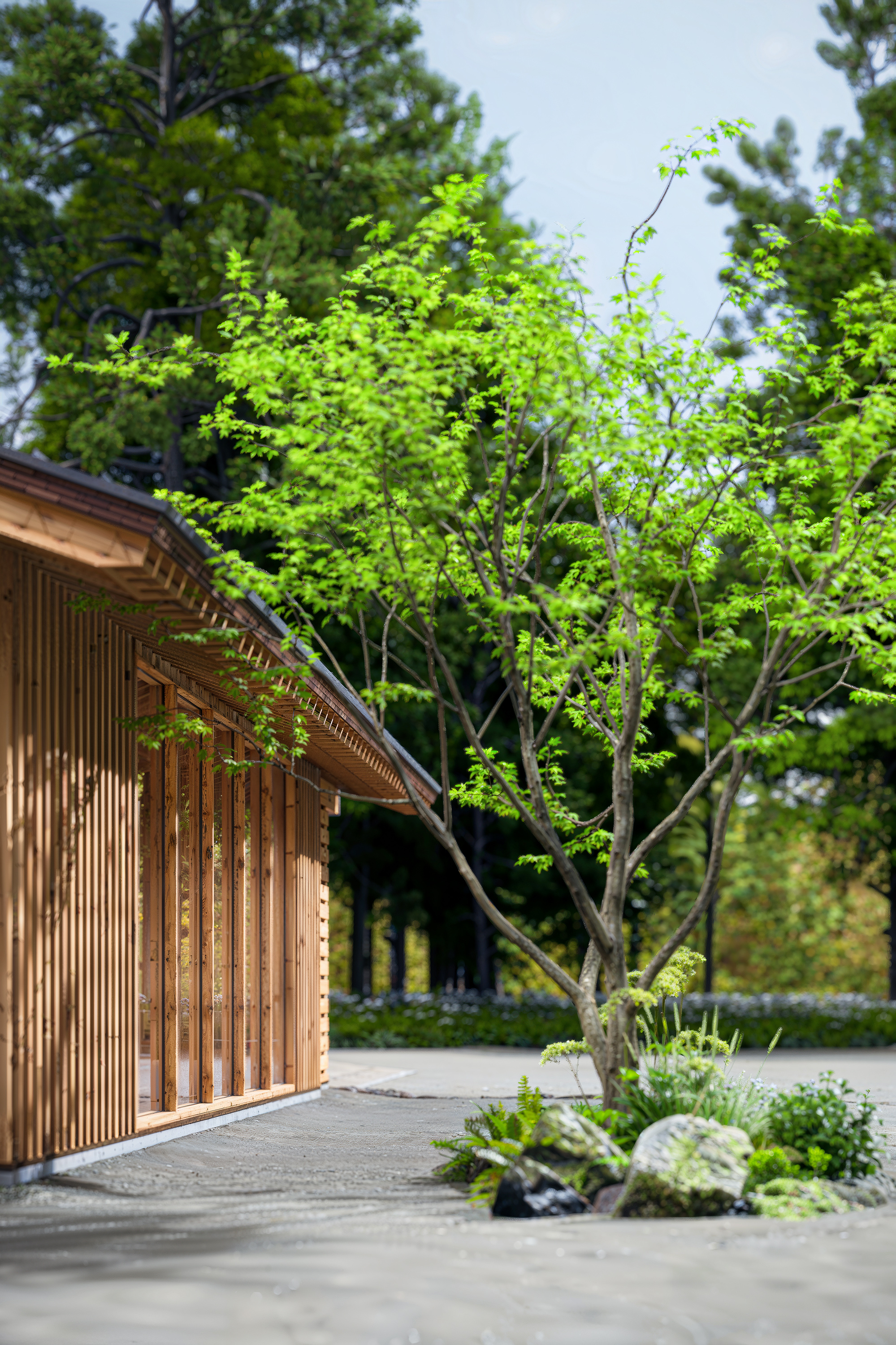 VR Tour — Teahouse